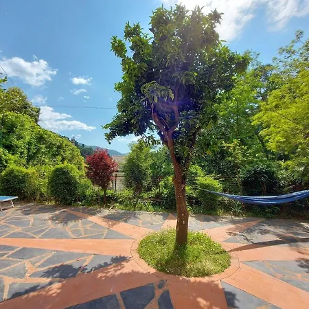 Sehr Moderne Mit Mediterranem Flair Und Hangematten Im Garten * Rapallo